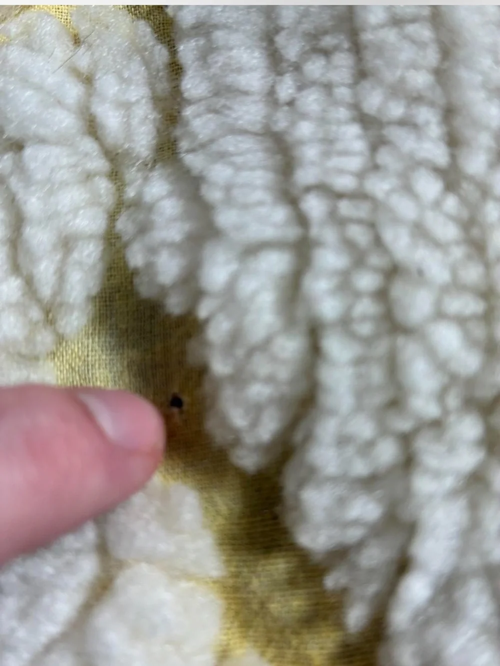 Vintage Chenille Floral Bed Spread White Butter Yellow Fringe Trim Full/Queen